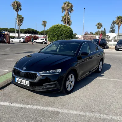 SKODA OCTAVIA DIESEL AUTOMATICO — foto 8
